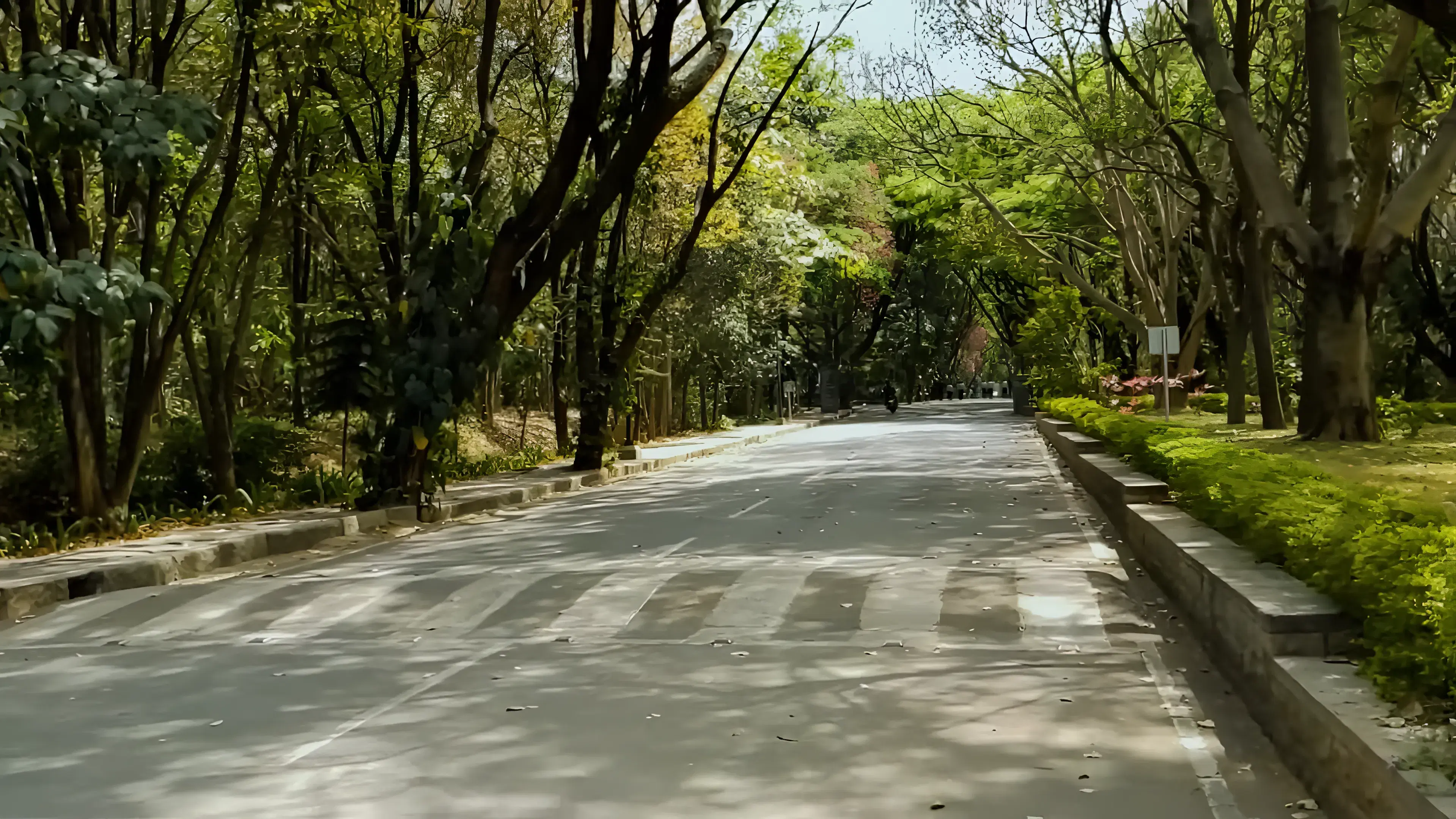 IIM Bangalore Campus photo 13